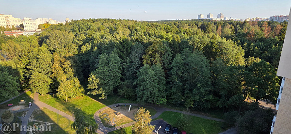 1-к квартира - Минск, Фрунзенский район,  В продаже