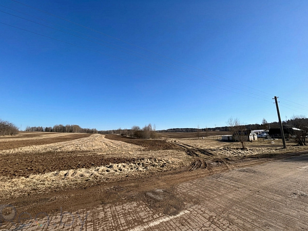 Участок, 25 соток, Логойский р-н, деревня Карпиловка