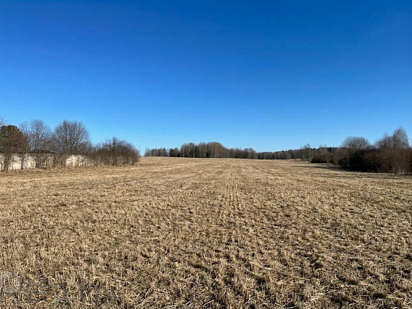 Участок, 25 соток, Логойский р-н, деревня Карпиловка