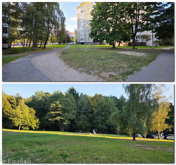 1-к квартира - Минск, Фрунзенский район,  В продаже