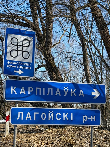 Участок, 25 соток, Логойский р-н, деревня Карпиловка