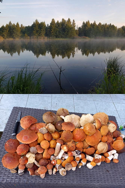 Минский район, СТ Белмонэф